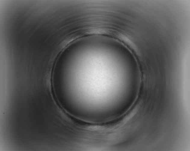 X0000088881033200706151808