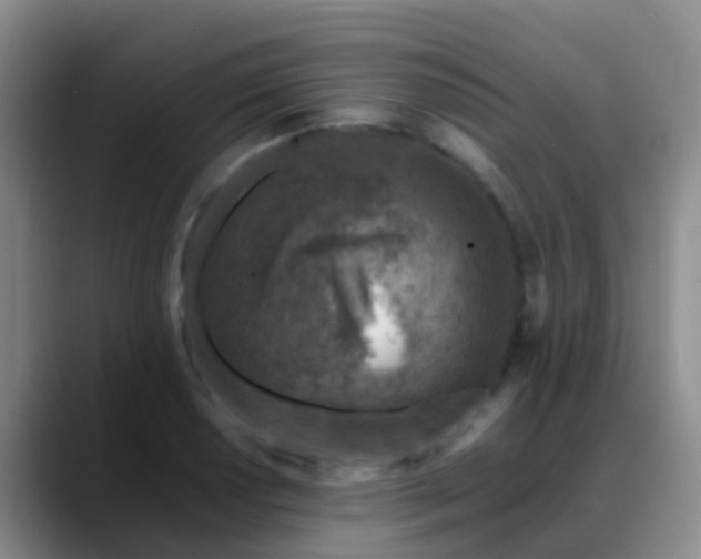 X0000088881034200706151808