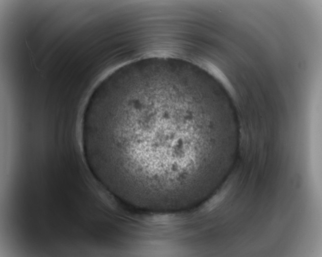 X0000088881035200706151808