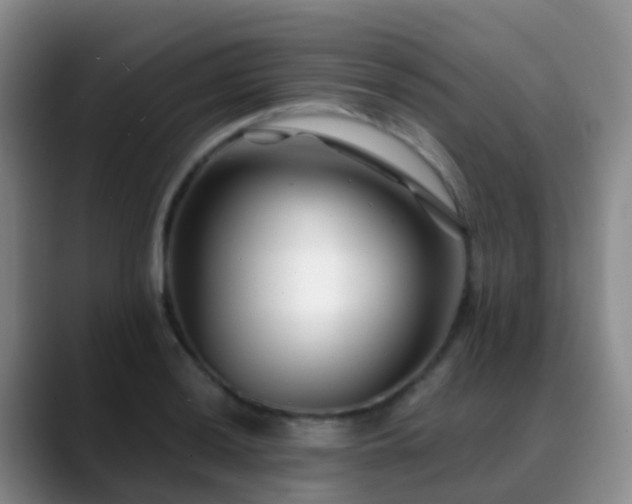 X0000088881036200706151808