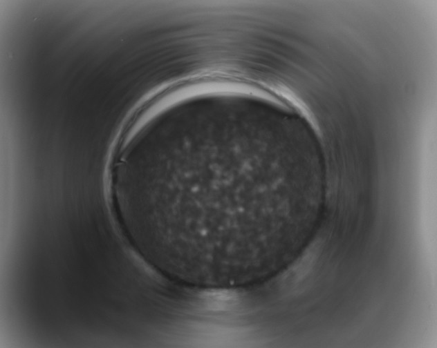 X0000088881037200706151808