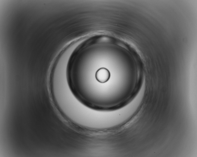 X0000088881038200706151808