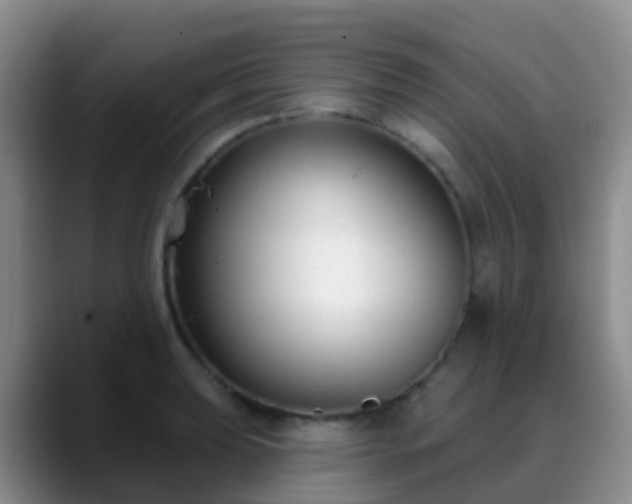 X0000088881039200706151808