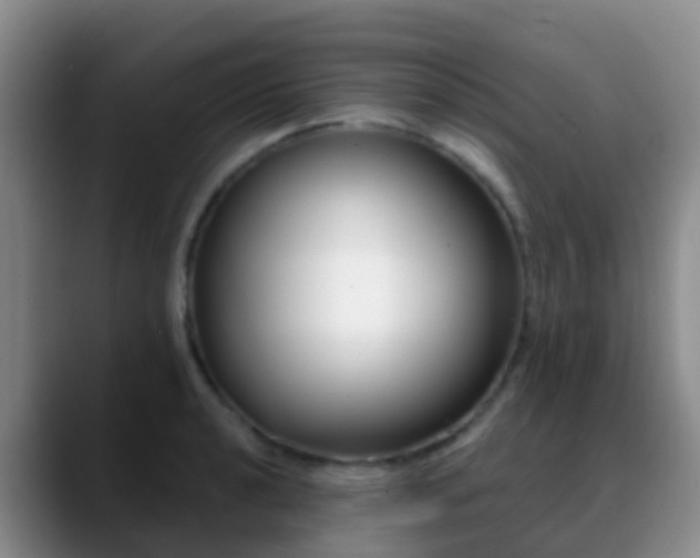 X0000088881040200706151808