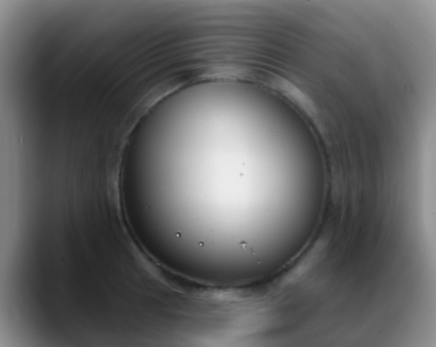 X0000088881041200706151808