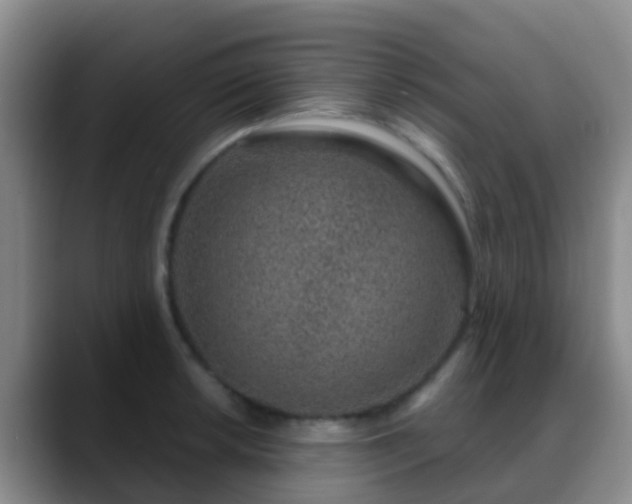 X0000088881042200706151808