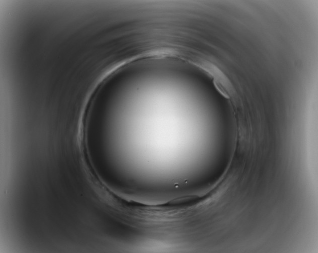 X0000088881044200706151808