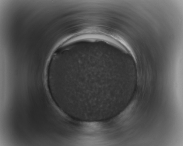 X0000088881045200706151808