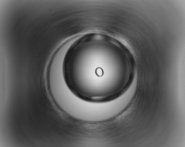 X0000088881046200706151808