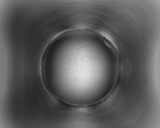 X0000088881047200706151808