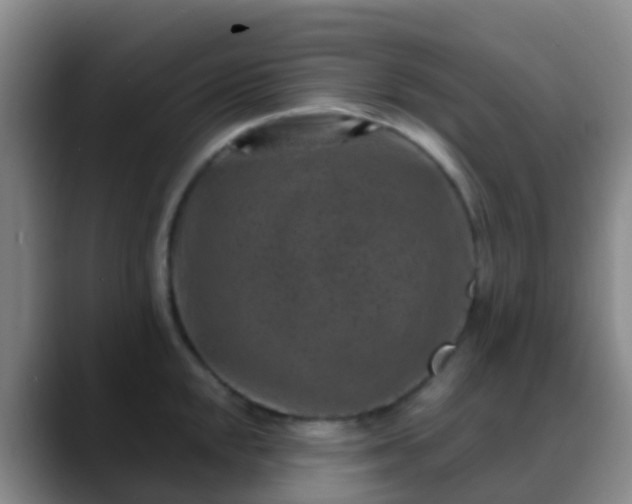 X0000088881048200706151808