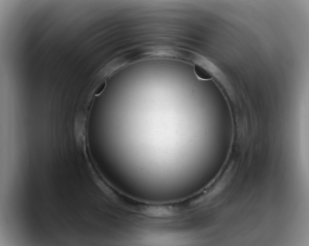 X0000088881049200706151808