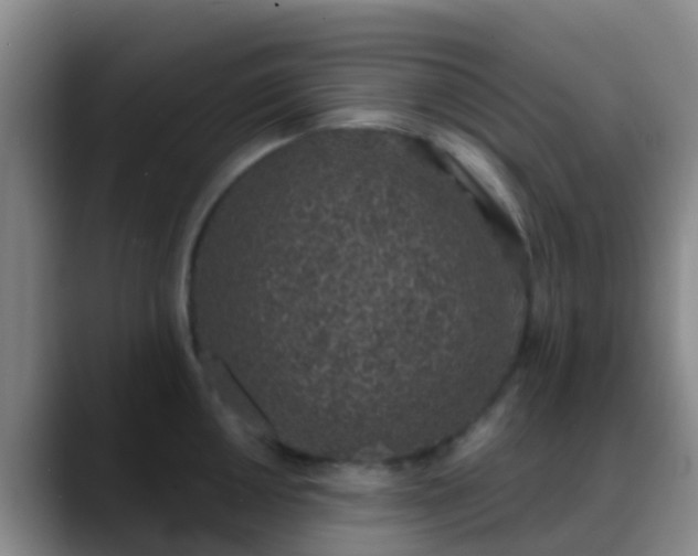 X0000088881050200706151808