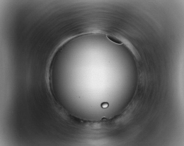 X0000088881051200706151808