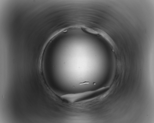 X0000088881052200706151808