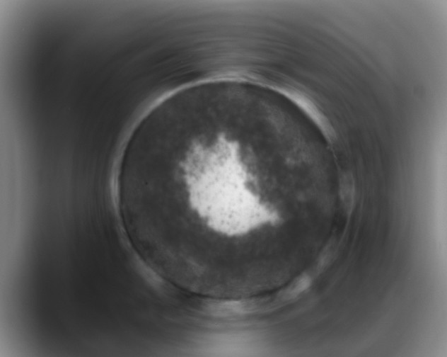 X0000088881054200706151808