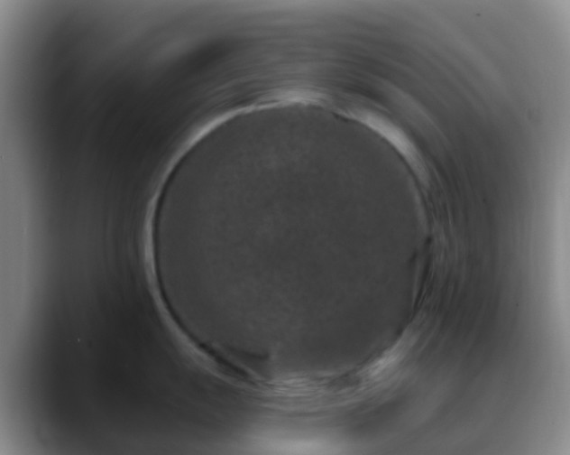 X0000088881055200706151808