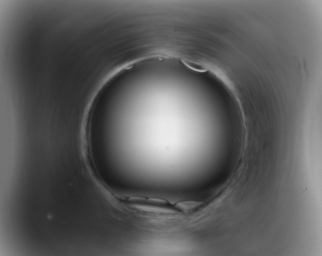 X0000088881056200706151808