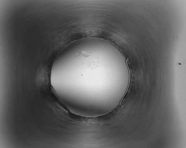 X0000088881058200706151807