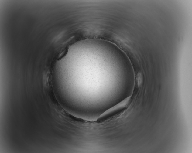 X0000088881059200706151807