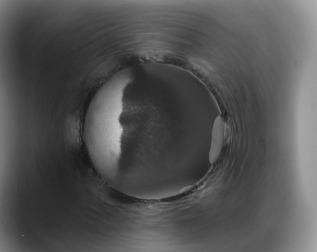 X0000088881060200706151807