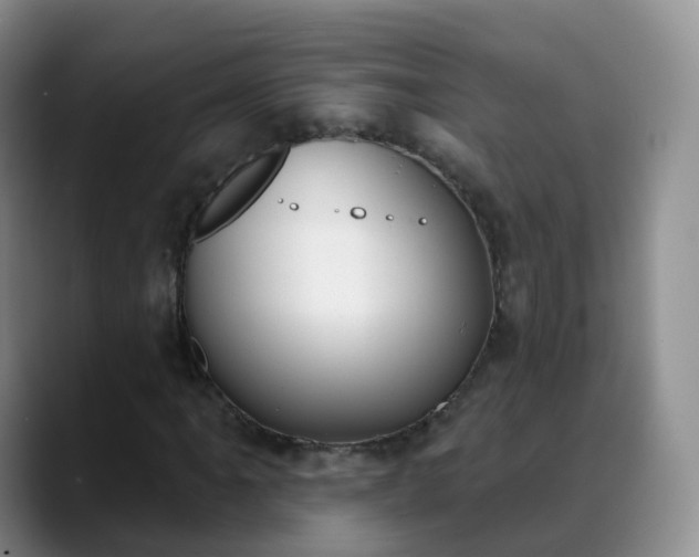 X0000088881061200706151807