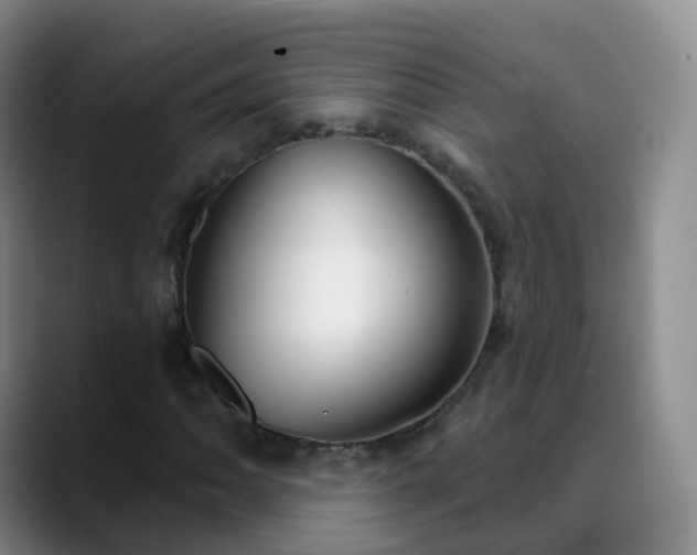 X0000088881062200706151807