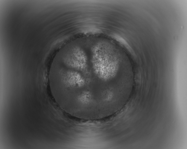 X0000088881063200706151807