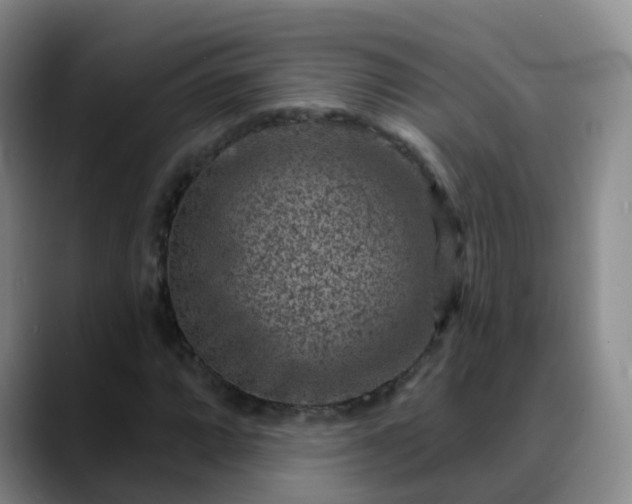 X0000088881064200706151807