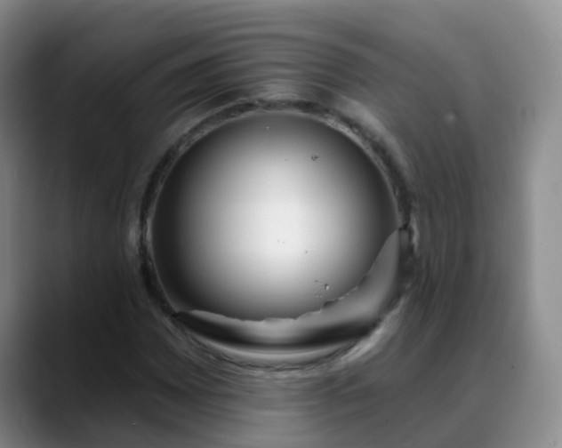 X0000088881065200706151807