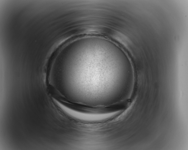 X0000088881066200706151807