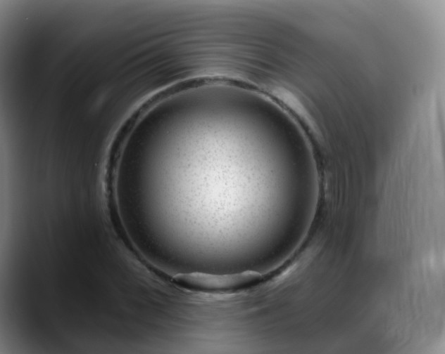 X0000088881068200706151807