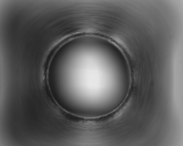 X0000088881070200706151807