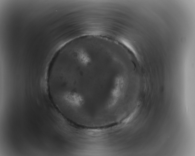 X0000088881071200706151807