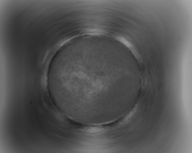 X0000088881074200706151807