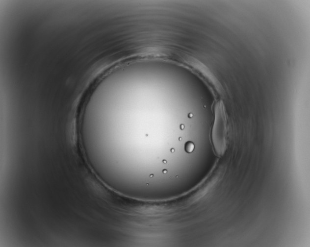 X0000088881075200706151807