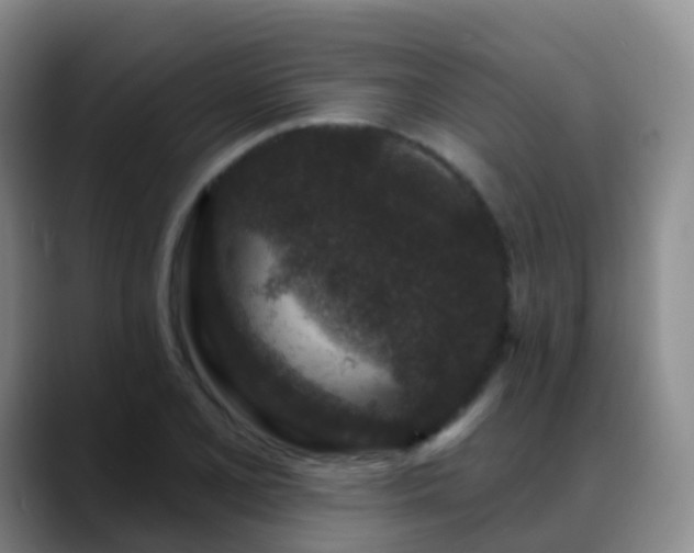 X0000088881077200706151807