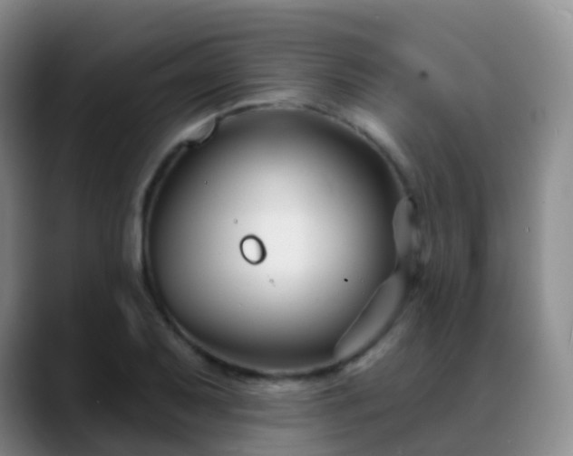 X0000088881079200706151807