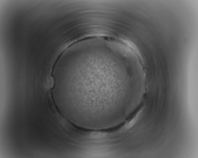 X0000088881081200706151807