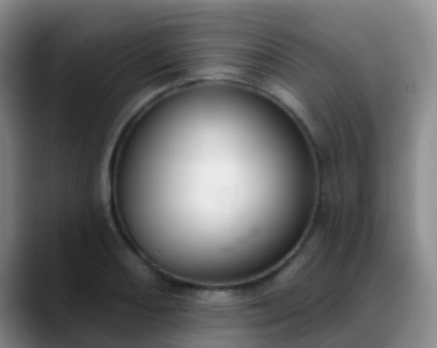 X0000088881082200706151807