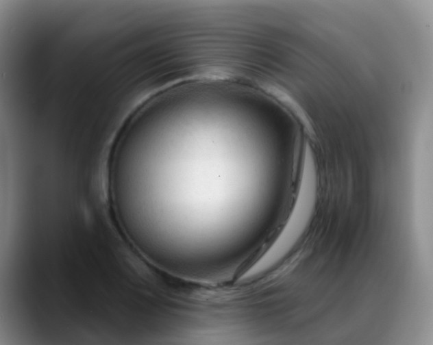 X0000088881083200706151807