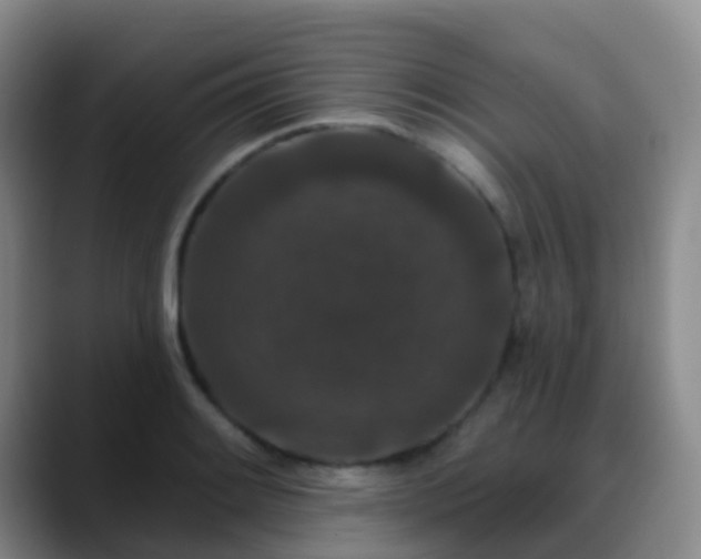 X0000088881084200706151807