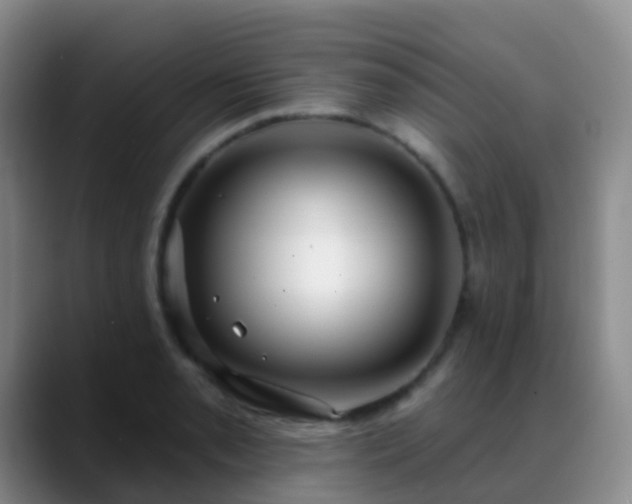 X0000088881085200706151807