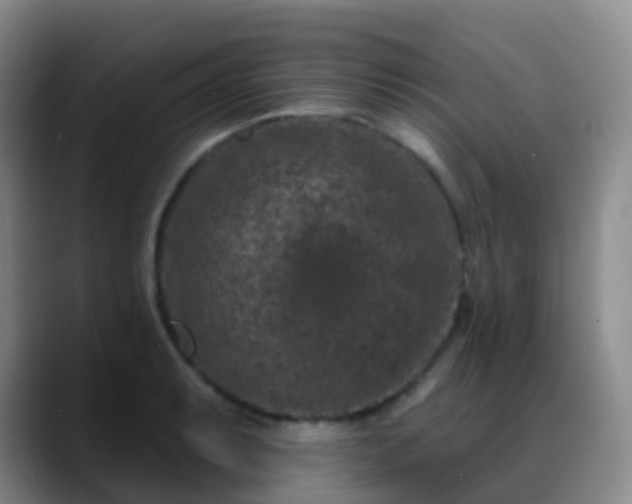 X0000088881087200706151807