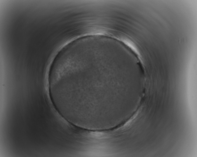 X0000088881088200706151807