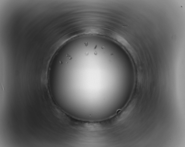 X0000088881089200706151807