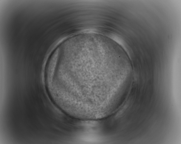 X0000088881090200706151807