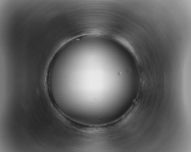 X0000088881091200706151807