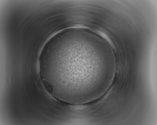 X0000088881092200706151807