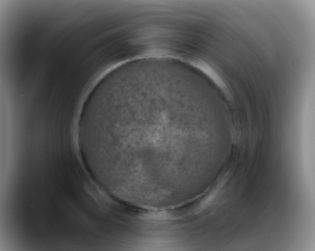 X0000088881094200706151807